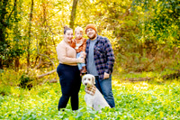 Curtiss Family