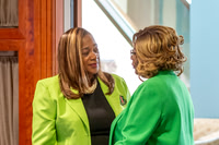 AKAs day at the capital 2026