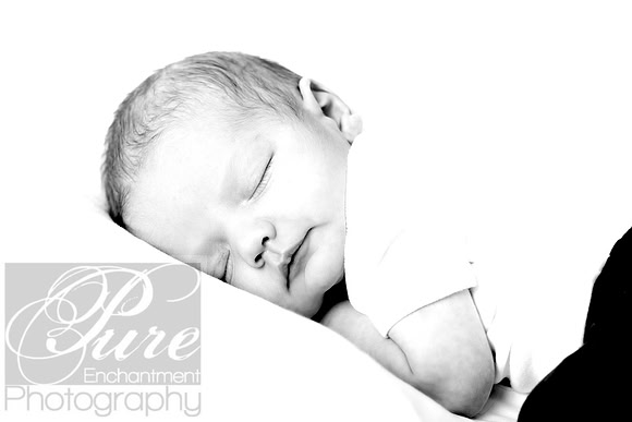 Book a Newborn Session